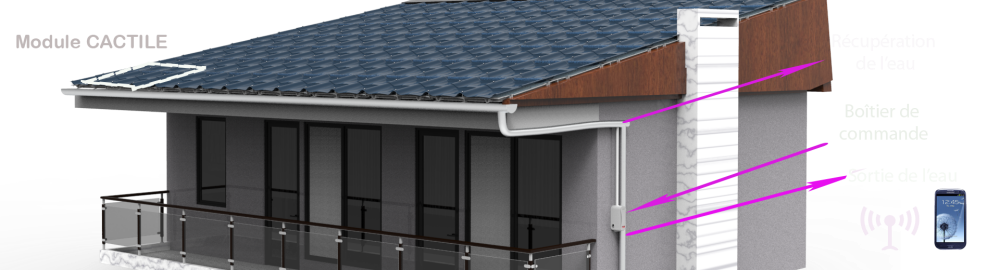 Design industriel CACTILE